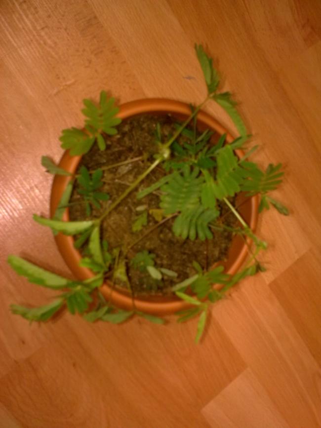 Name:  Grnt0542.jpg
Views: 425
Size:  47.6 KB
