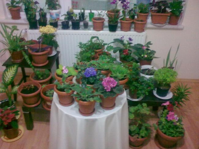 Name:  Grnt0526.jpg
Views: 422
Size:  46.9 KB