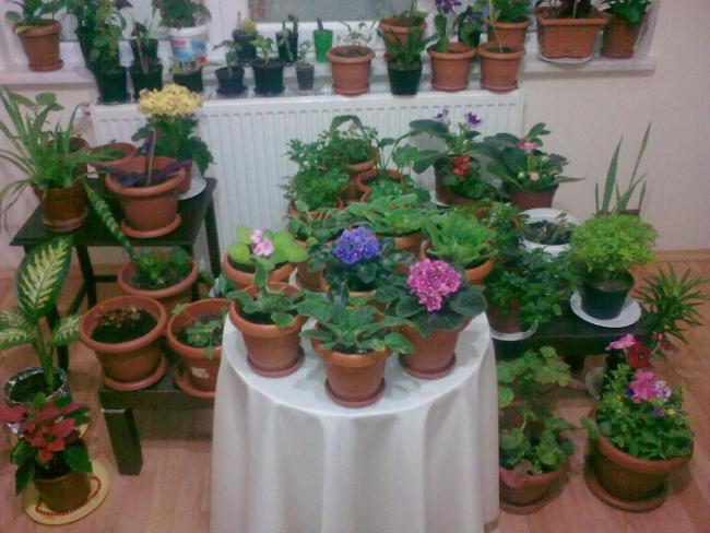 Name:  Grnt0527.jpg
Views: 422
Size:  50.2 KB