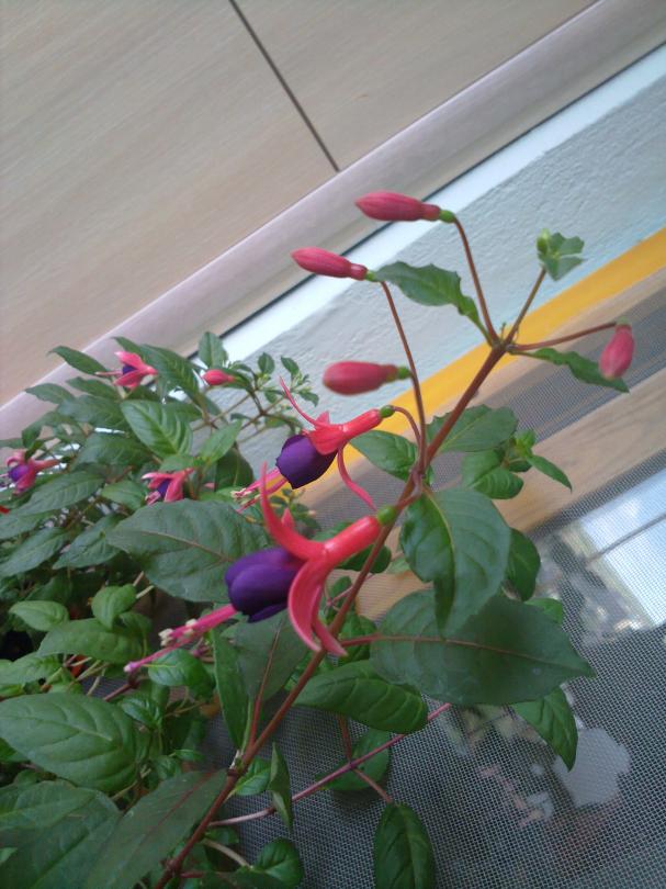 Name:  140620134913.jpg
Views: 585
Size:  70.5 KB