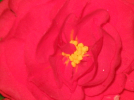 Name:  IMG_1530.JPG
Views: 837
Size:  57.4 KB