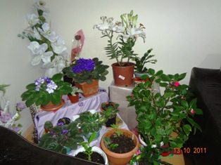 Name:  080.jpg
Views: 1472
Size:  53.2 KB