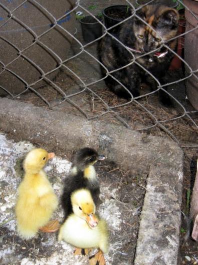 Name:  IMG_2287.jpg
Views: 892
Size:  44.9 KB