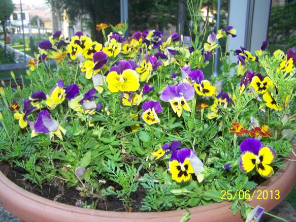 Name:  100_3512.jpg
Views: 678
Size:  72.8 KB