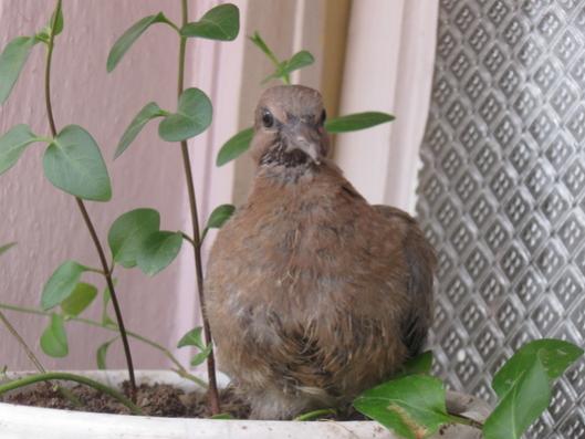 Name:  IMG_5641.jpg
Views: 1133
Size:  32.0 KB