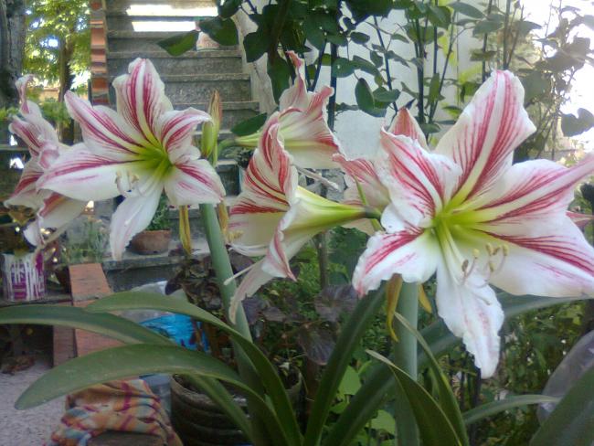 Name:  Fotoraf2673.jpg
Views: 532
Size:  59.9 KB