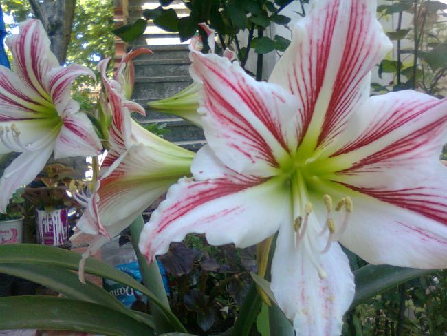 Name:  Fotoraf2674.jpg
Views: 532
Size:  56.0 KB