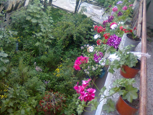 Name:  Fotoraf2661(1).jpg
Views: 540
Size:  70.6 KB