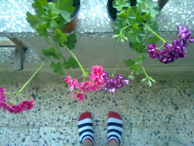 Name:  Fotoraf2642.jpg
Views: 493
Size:  54.6 KB