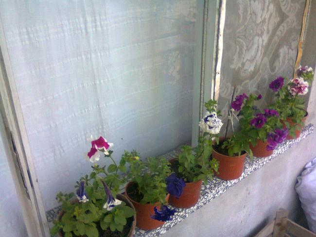 Name:  Fotoraf2660.jpg
Views: 538
Size:  42.8 KB