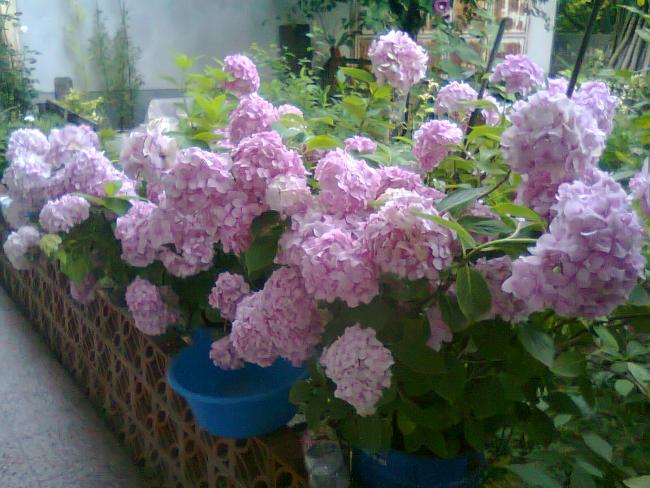 Name:  Fotoraf2761.jpg
Views: 522
Size:  58.0 KB