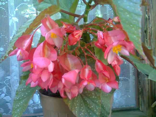 Name:  Fotoraf2720.jpg
Views: 559
Size:  58.2 KB