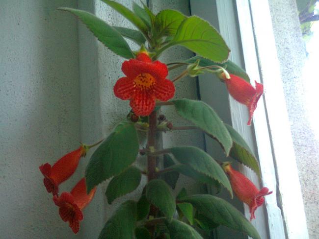 Name:  Fotoraf2695.jpg
Views: 626
Size:  39.2 KB