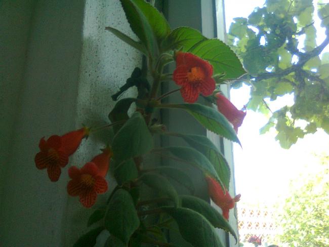 Name:  Fotoraf2696.jpg
Views: 555
Size:  36.8 KB