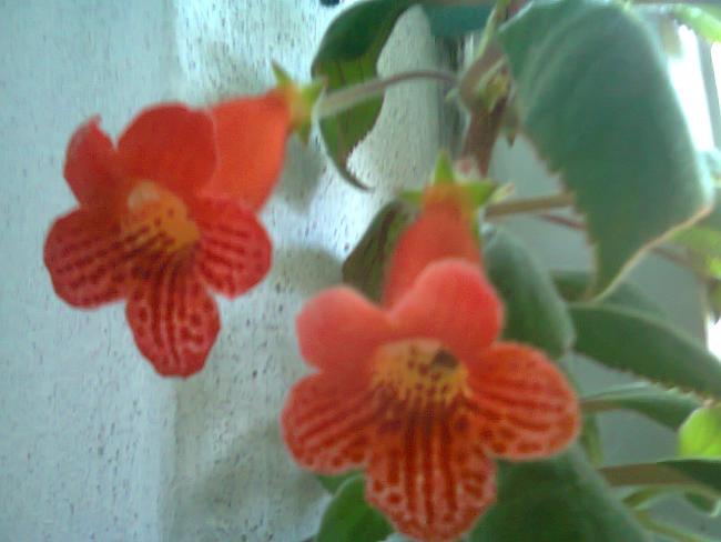 Name:  Fotoraf2697.jpg
Views: 570
Size:  32.2 KB