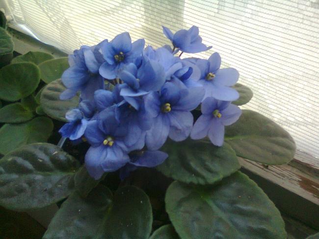 Name:  Fotoraf2773.jpg
Views: 546
Size:  46.6 KB