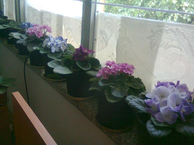 Name:  Fotoraf2784.jpg
Views: 528
Size:  42.3 KB