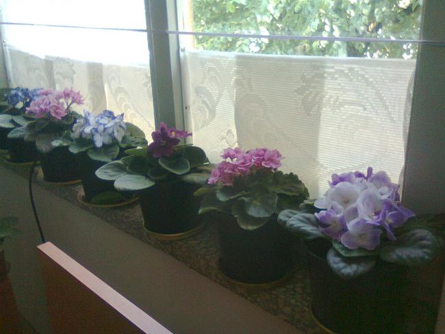 Name:  Fotoraf2785.jpg
Views: 542
Size:  40.7 KB