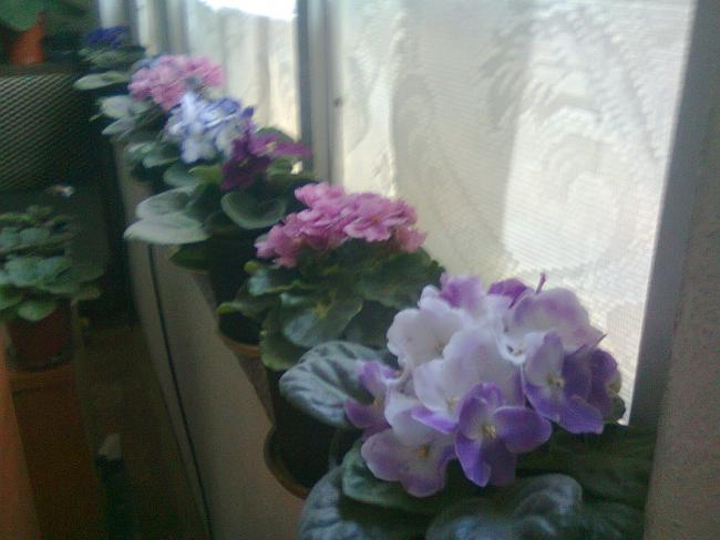 Name:  Fotoraf2786.jpg
Views: 527
Size:  35.6 KB