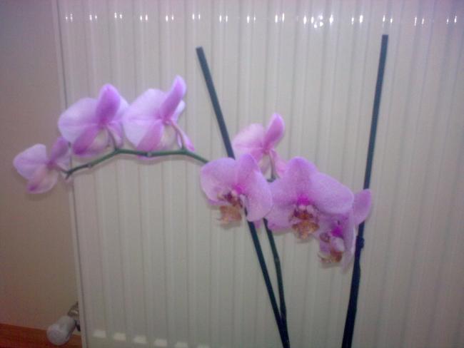 Name:  Grnt0587.jpg
Views: 321
Size:  23.2 KB
