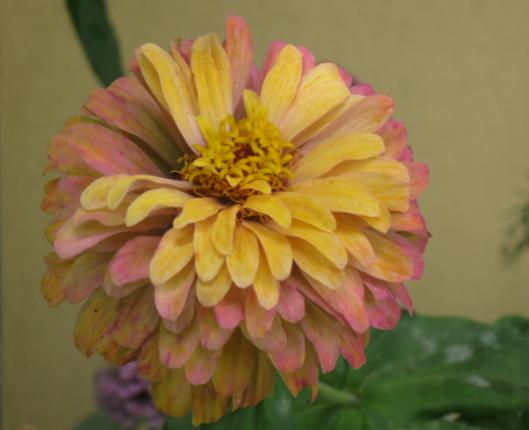 Name:  IMG_2574.jpg
Views: 1073
Size:  22.7 KB