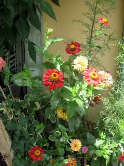 Name:  IMG_2572.jpg
Views: 913
Size:  43.6 KB