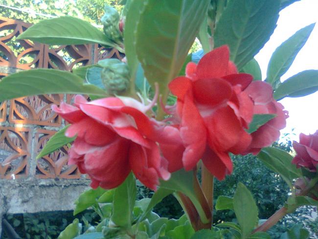Name:  Fotoraf2934.jpg
Views: 589
Size:  51.6 KB