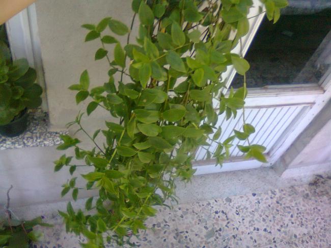 Name:  Fotoraf3245.jpg
Views: 1005
Size:  49.6 KB