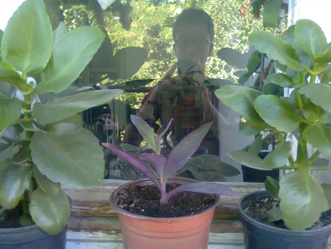 Name:  Fotoraf3241.jpg
Views: 1154
Size:  49.1 KB