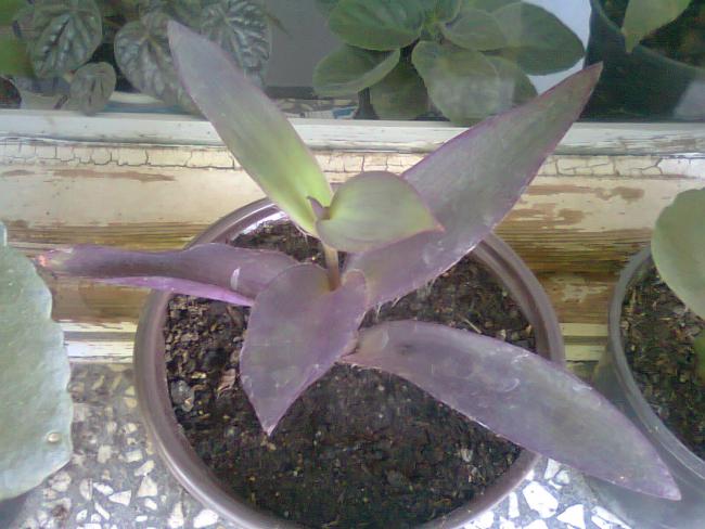 Name:  Fotoraf3238.jpg
Views: 1201
Size:  46.6 KB