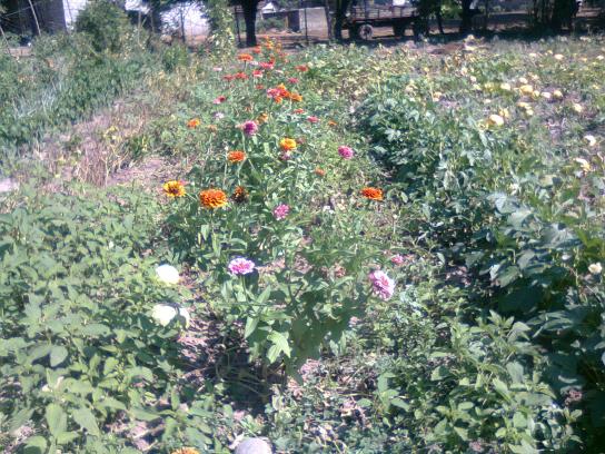 Name:  Fotoraf3268.jpg
Views: 746
Size:  72.3 KB