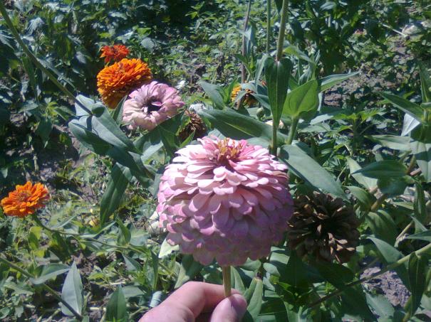 Name:  Fotoraf3259.jpg
Views: 732
Size:  72.0 KB