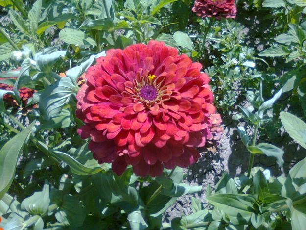 Name:  Fotoraf3263.jpg
Views: 803
Size:  71.5 KB
