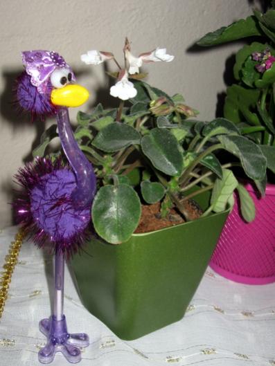 Name:  IMG_2929.jpg
Views: 920
Size:  33.8 KB