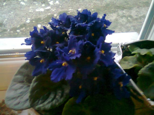 Name:  Fotoraf3284.jpg
Views: 780
Size:  42.5 KB