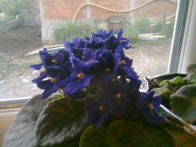 Name:  Fotoraf3286.jpg
Views: 762
Size:  44.8 KB