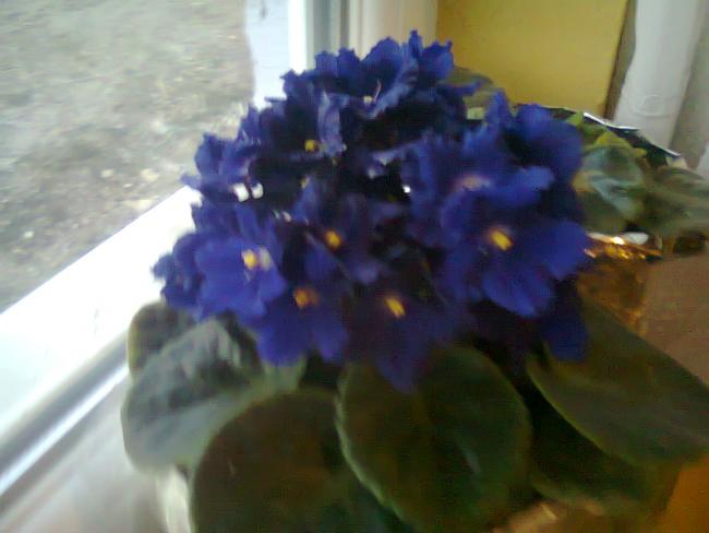 Name:  Fotoraf3287.jpg
Views: 743
Size:  31.3 KB