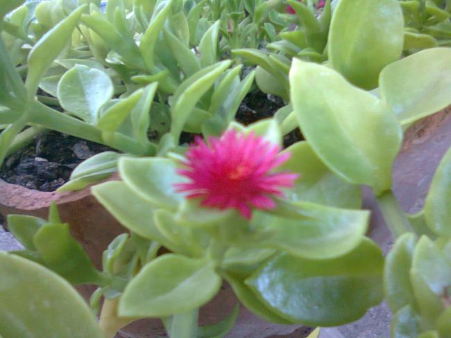 Name:  Fotoraf3322.jpg
Views: 676
Size:  39.2 KB