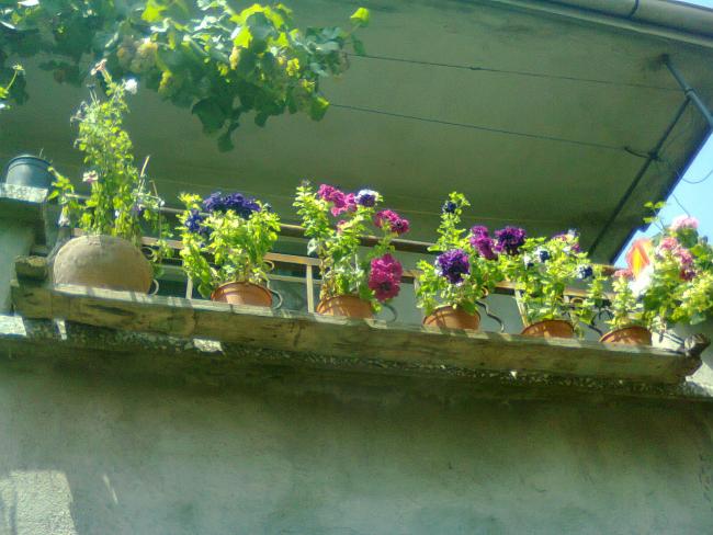 Name:  Fotoraf3337.jpg
Views: 706
Size:  50.6 KB