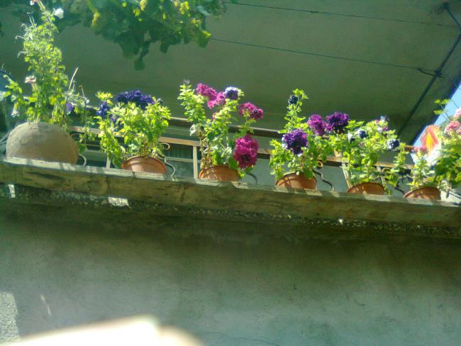 Name:  Fotoraf3338.jpg
Views: 686
Size:  48.6 KB