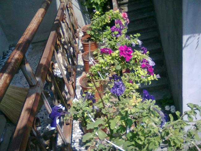 Name:  Fotoraf3356.jpg
Views: 728
Size:  69.9 KB