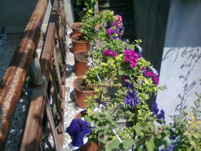 Name:  Fotoraf3357.jpg
Views: 694
Size:  69.2 KB