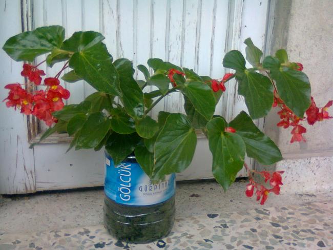 Name:  Fotoraf3353.jpg
Views: 1525
Size:  49.4 KB