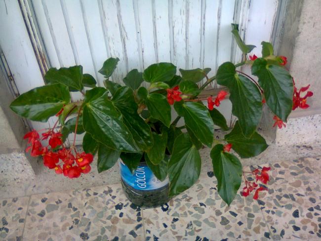 Name:  Fotoraf3352.jpg
Views: 1592
Size:  55.0 KB