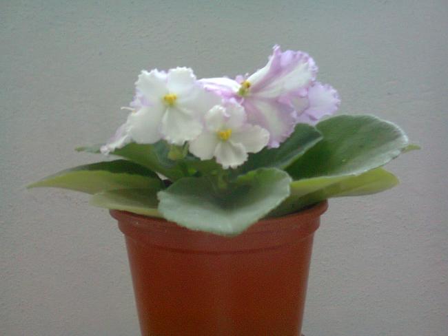 Name:  Fotoraf3344.jpg
Views: 699
Size:  26.0 KB
