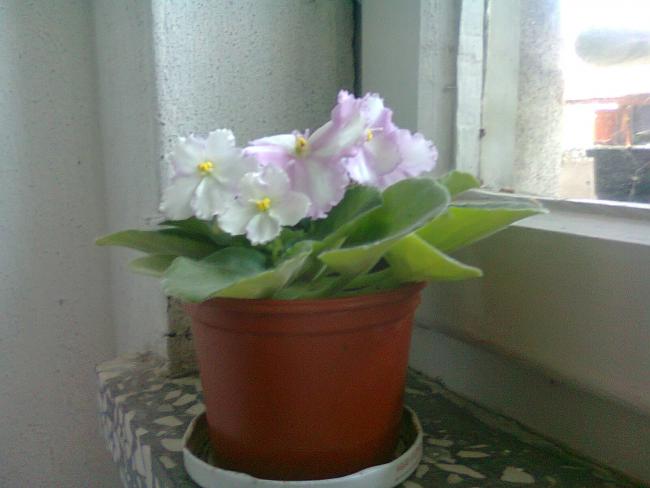 Name:  Fotoraf3345.jpg
Views: 675
Size:  31.3 KB