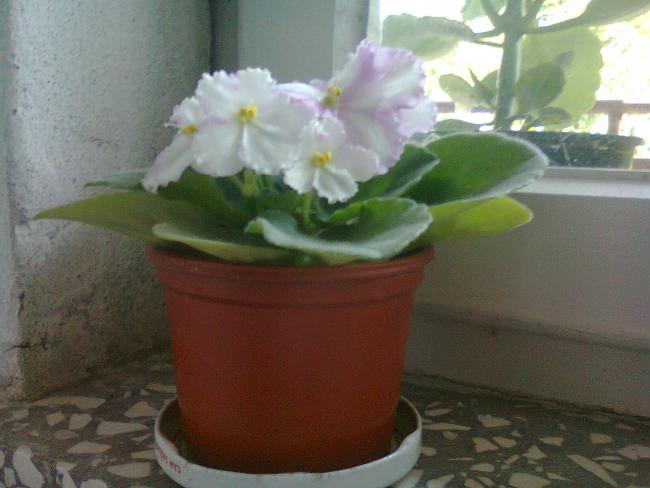 Name:  Fotoraf3346.jpg
Views: 710
Size:  35.7 KB