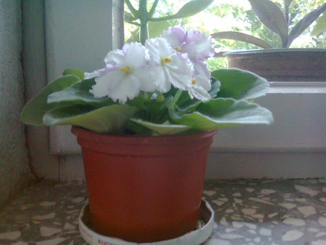 Name:  Fotoraf3347.jpg
Views: 692
Size:  38.3 KB