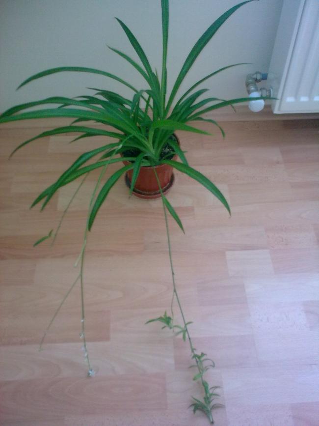 Name:  Grnt0604.jpg
Views: 356
Size:  44.6 KB