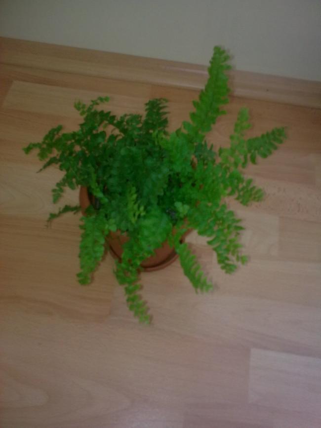 Name:  Grnt0607.jpg
Views: 316
Size:  34.5 KB